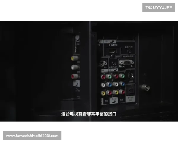如何通过N2游戏手柄在小米电视上畅玩各种游戏的详细指南 如何通过N2游戏手柄在小米电视上畅玩各种游戏的详细指南